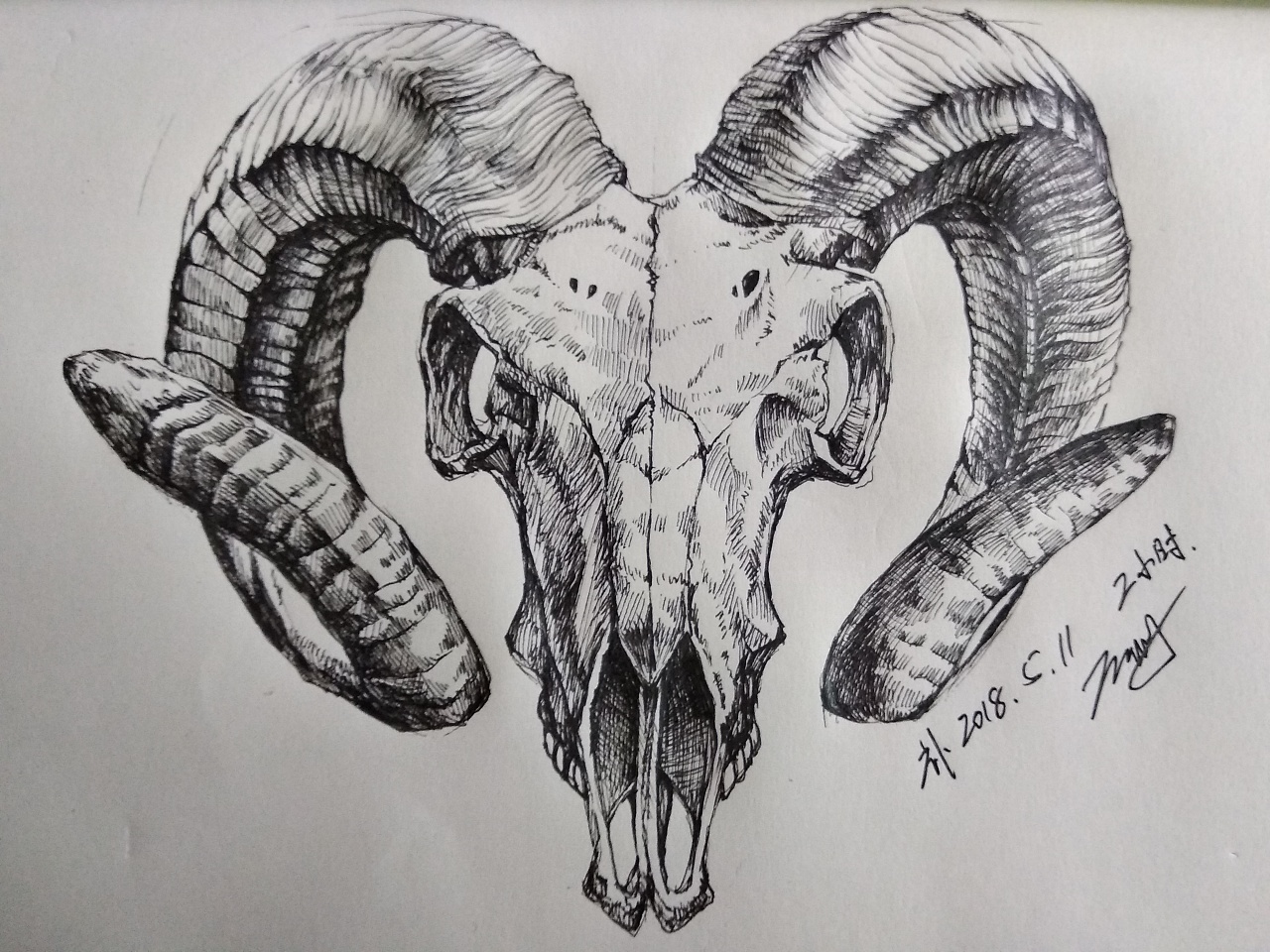 平常练习100张(1) - 原创作品 - 站酷(zcool)