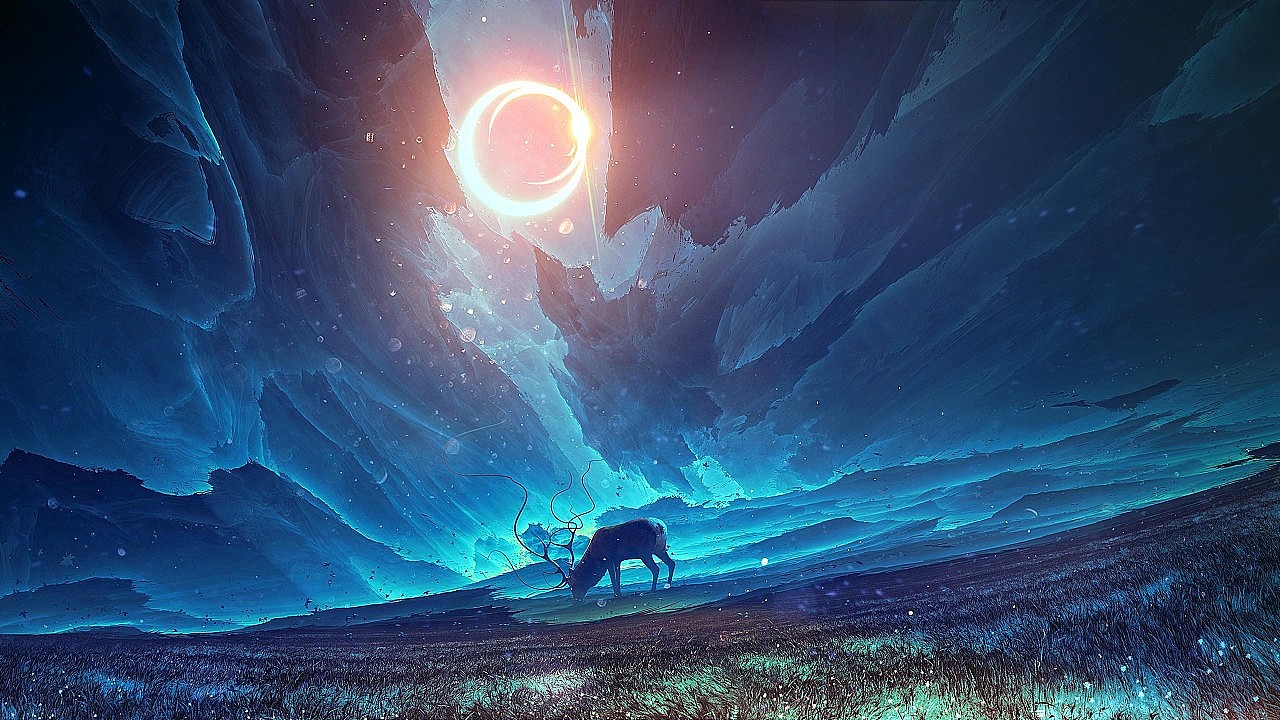 个人收藏的壁纸