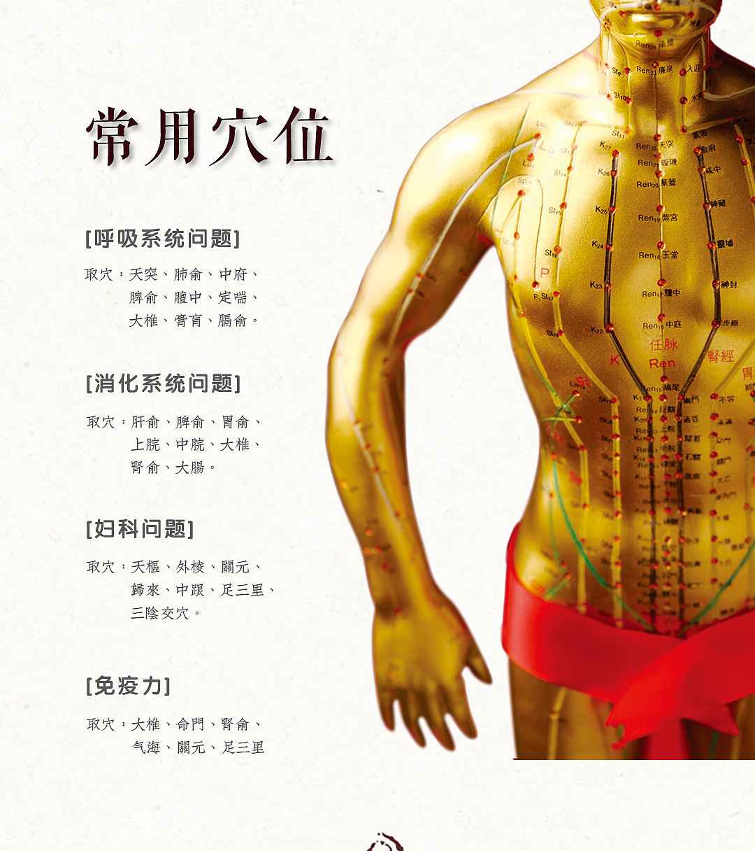 穴位贴详情页2（图ZMTY2OTQ1ODQ0） - 电商 - 站酷设计师末学小可原创素材 - 站酷ZCOOL