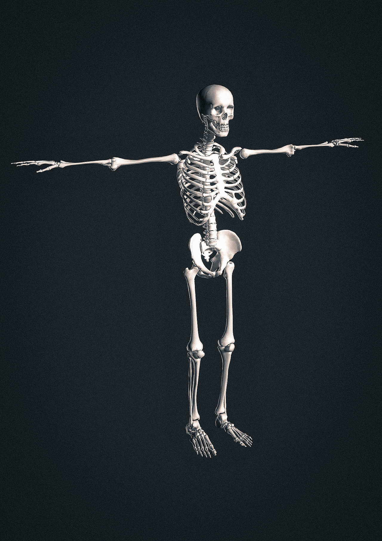 KeyShot 产品级渲染练习分享（图ZMjUyMDY3ODcy） - 其他三维 - 站酷设计师CG模王原创素材 - 站酷ZCOOL