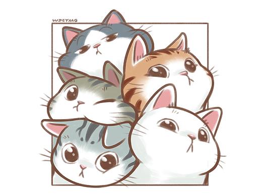 魏大葱有木瓜的猫咪们