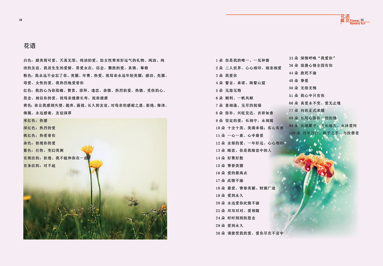 花语花趣书籍装帧设计