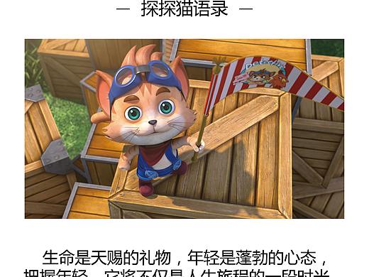 探探猫语录合集：探探猫的励志鸡汤你喝了几碗？