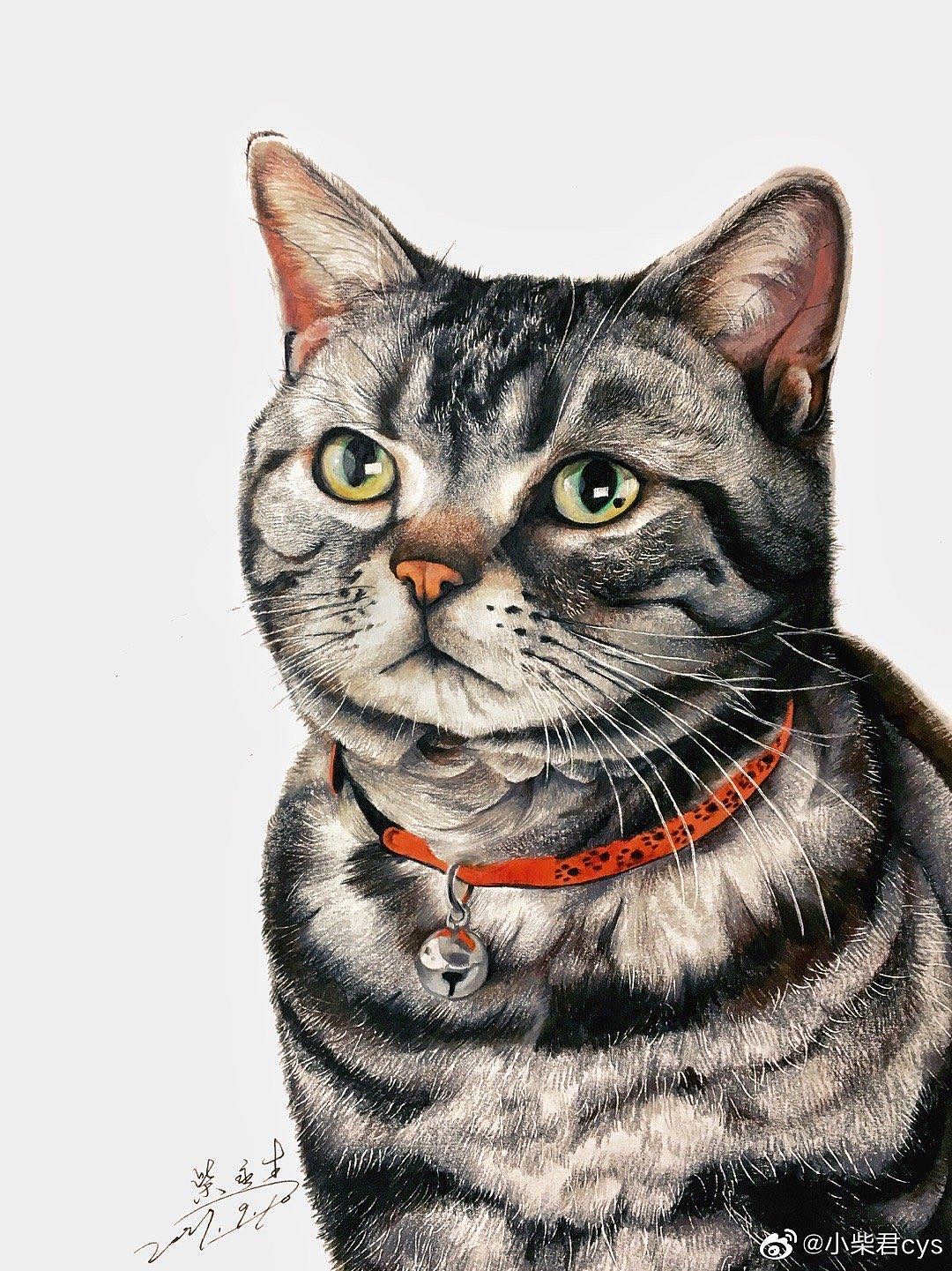 动物不凶猛——手绘动物集合(图ZMjAyODkyNDgw) - 绘画 - 站酷设计师柴永生原创素材 - 站酷ZCOOL