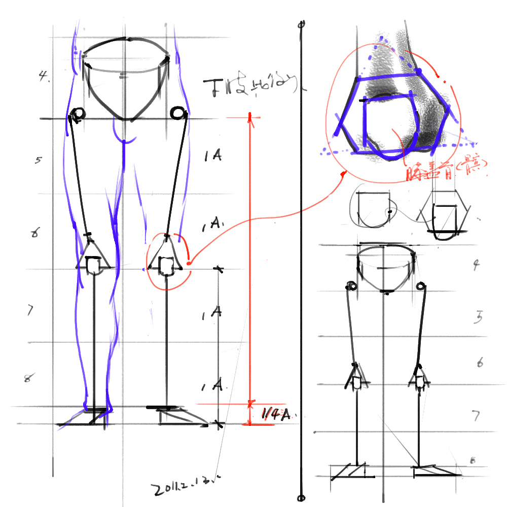 「素材」分享一波绘画专用人体解剖素材 part 01