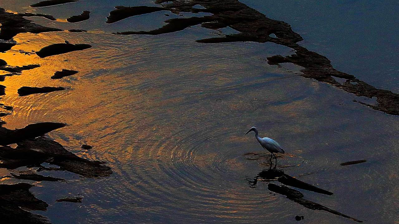 吕燕群先生摄影作品——2020年12月（图ZMjM4MzAxMTQw） - 人像摄影 - 站酷设计师纳木念夕原创素材 - 站酷ZCOOL