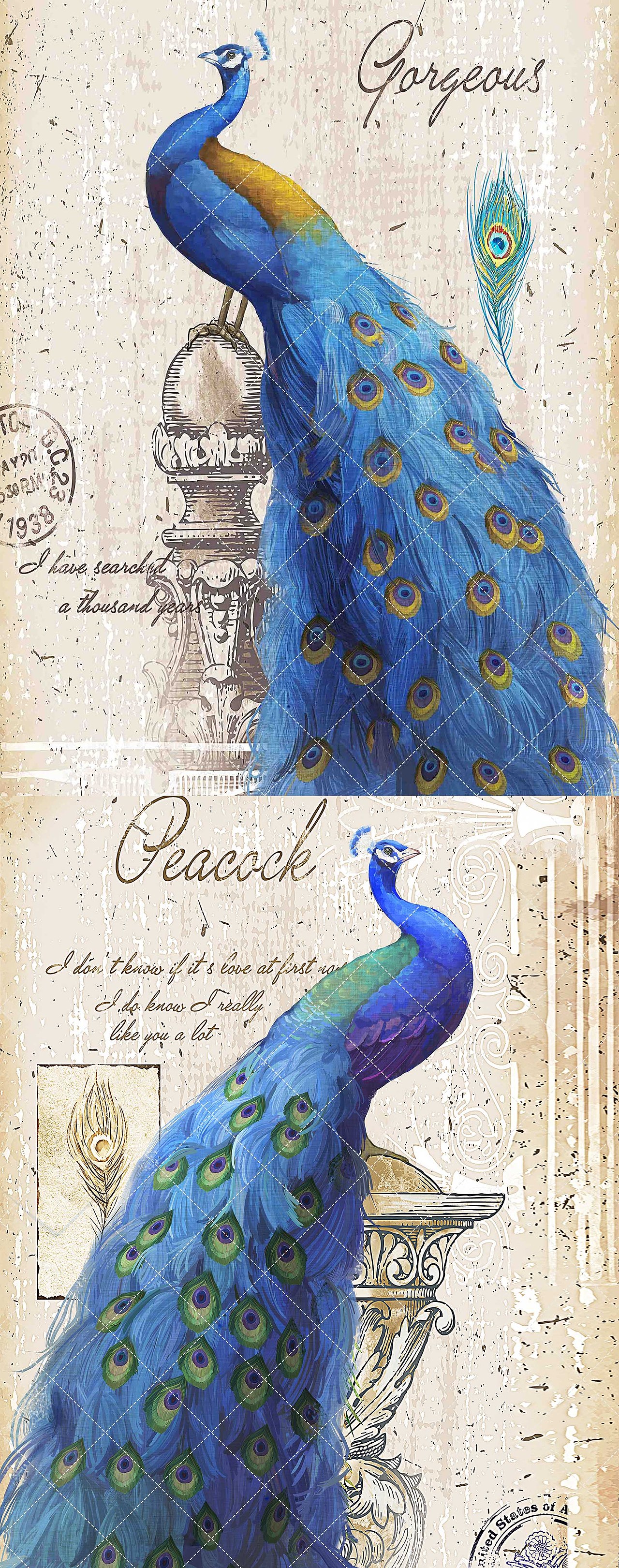 孔雀装饰画（图ZMTE1NzgwMDY4） - 艺术插画 - 站酷设计师墙角呆瓜原创素材 - 站酷ZCOOL