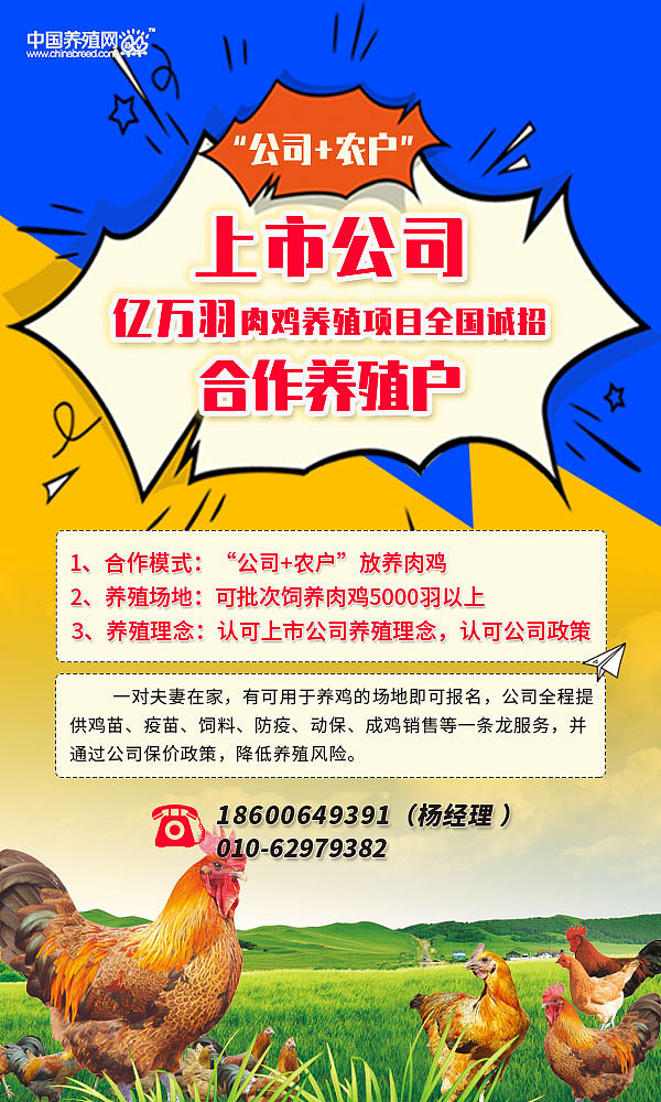 宣传页2（图ZMjA1OTk5NTg0） - 其他平面 - 站酷设计师随偊尓谙原创素材 - 站酷ZCOOL