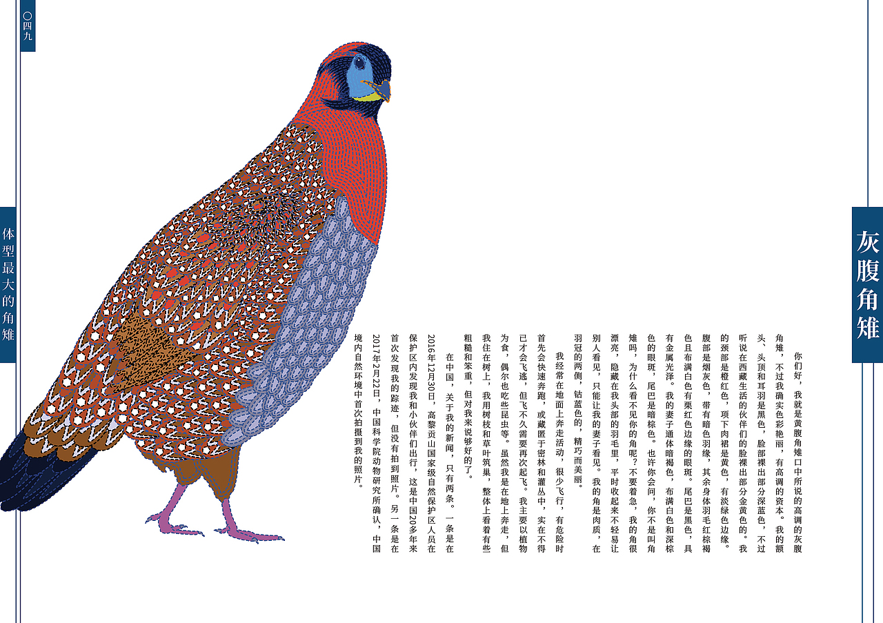 《假如我们会说话》70种中国珍贵野生动物书籍设计·二