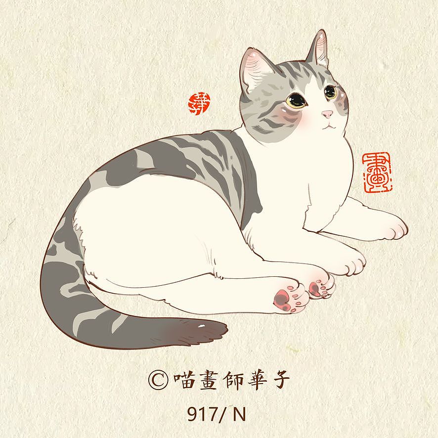 画猫的第三季250天,937天的画猫纪录