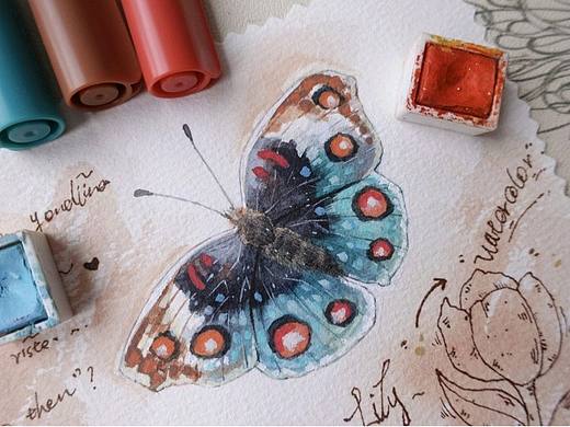 水彩——蝴蝶