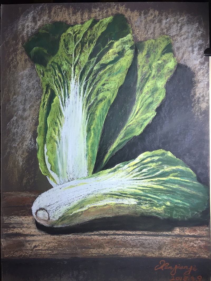 姬新建  《白菜》静物写生 色粉画