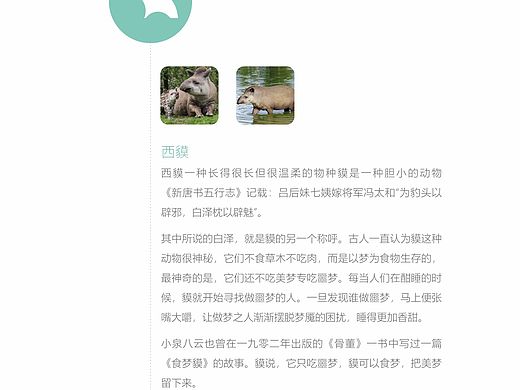 VI视觉系统|乐倍