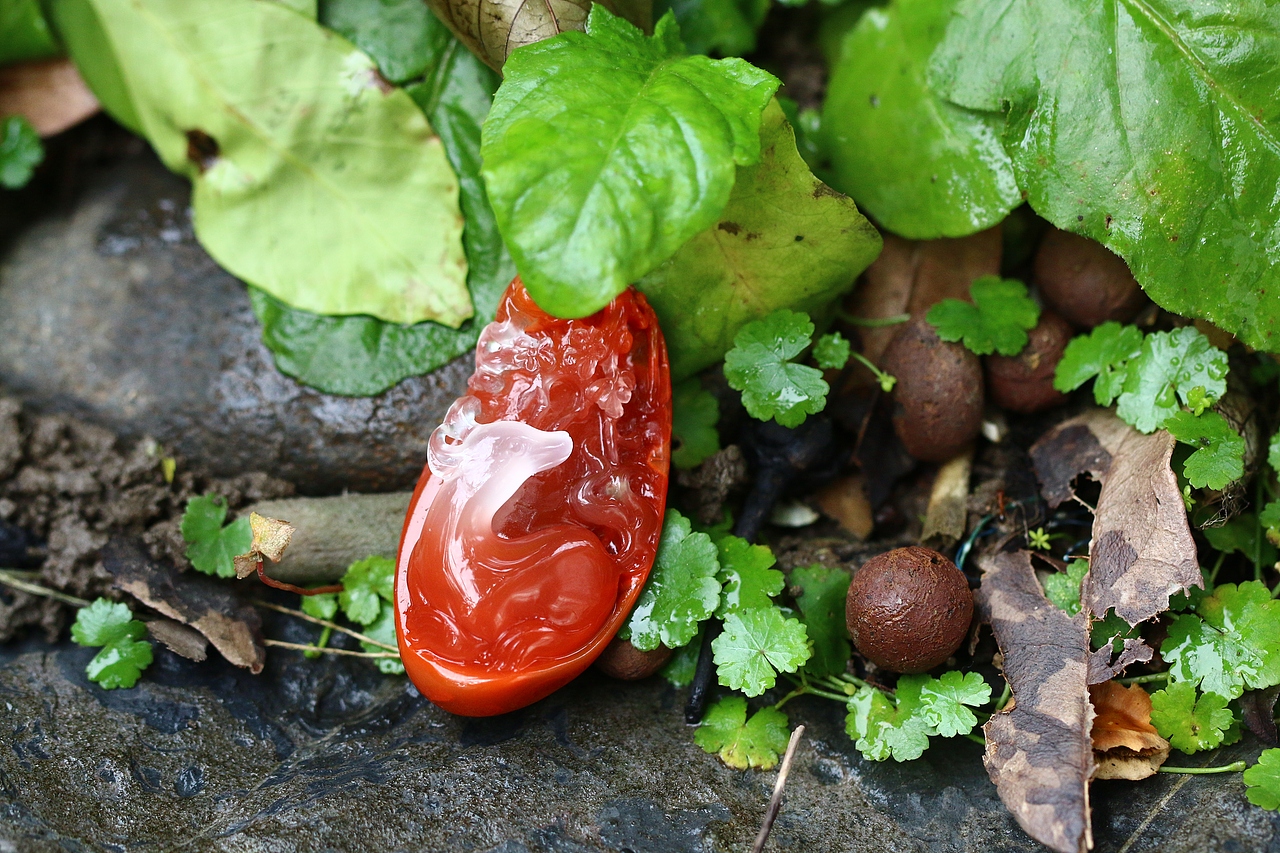 珠宝摄影----【香杯浮玛瑙,岁月暖南红】南红特辑2