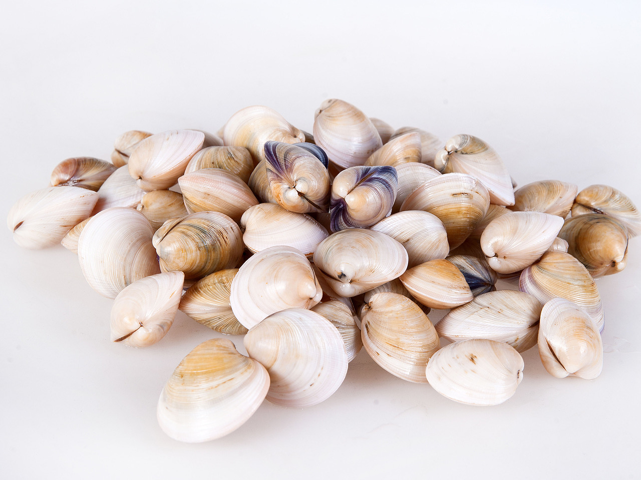 酒店菜谱（图ZOTI2MTg0OA==） - 产品摄影 - 站酷设计师蓝太阳TNT原创素材 - 站酷ZCOOL