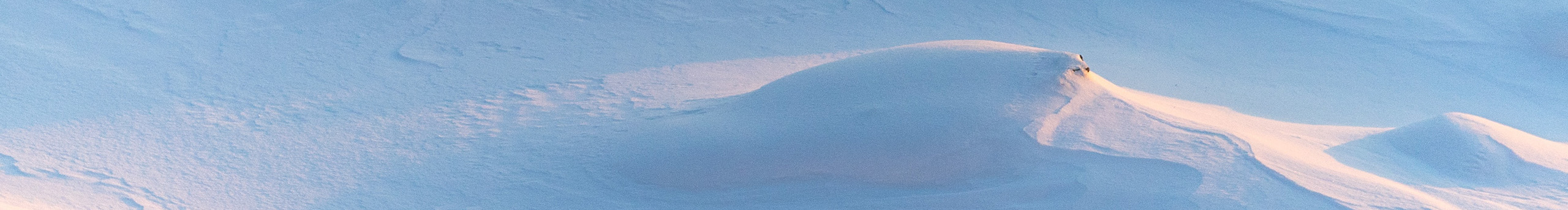 荔枝冰沙的个人主页（背景预览） - 主页背景设置 - 站酷设计师荔枝冰沙原创素材 - 站酷ZCOOL