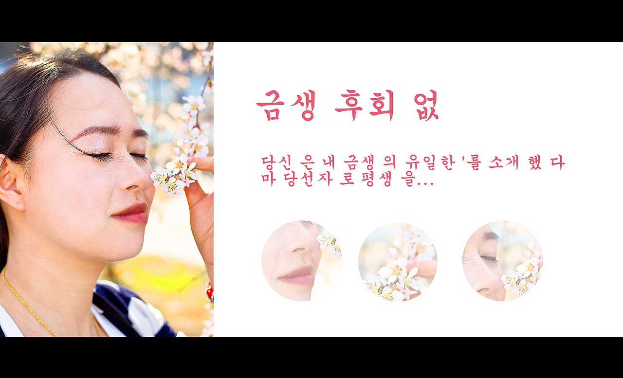 今生无悔——금생 후회 없