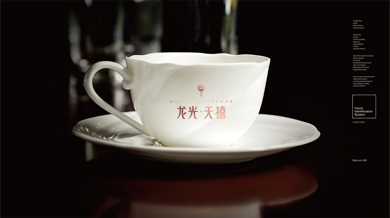 龙光天禧（图ZMTE2NzE4MDky） - Logo - 站酷设计师这是个W原创素材 - 站酷ZCOOL