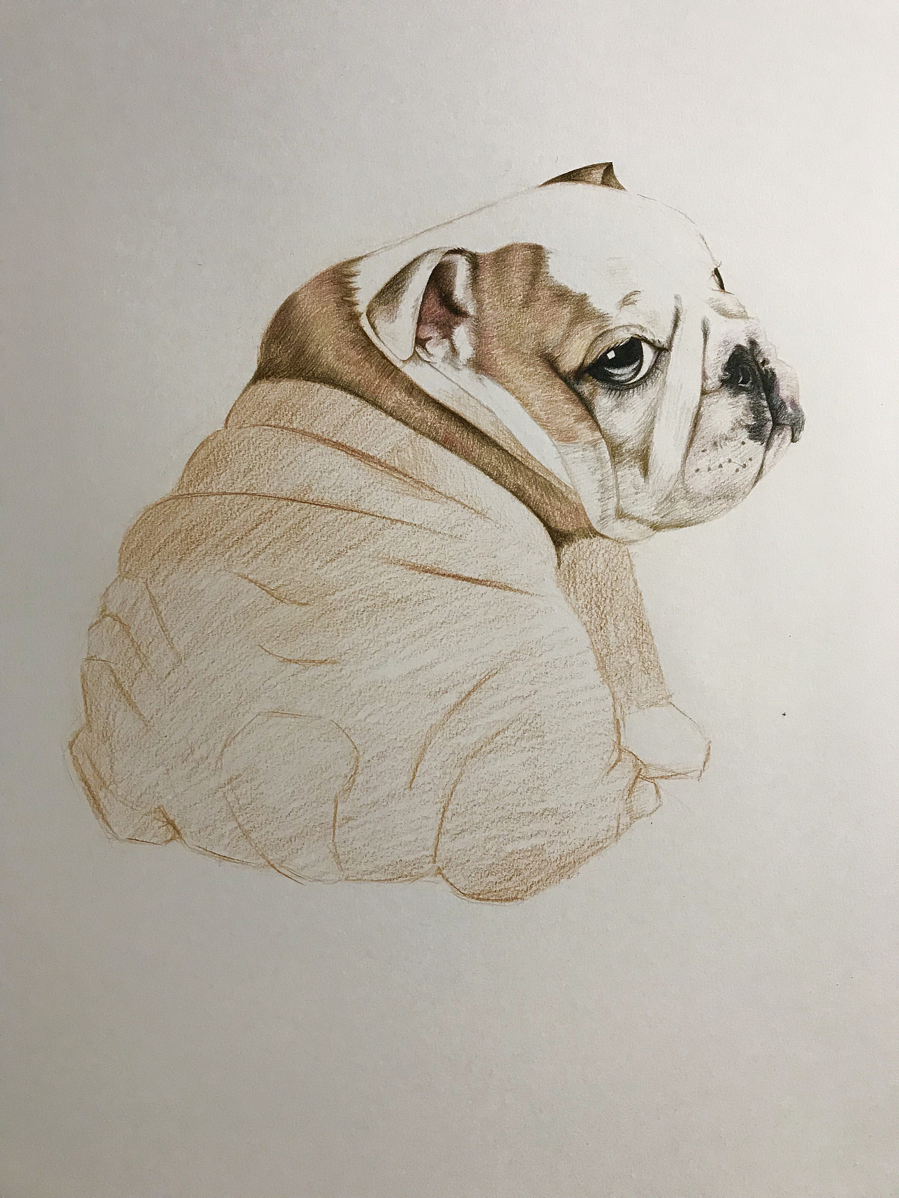 彩铅萌宠系列作品-狗