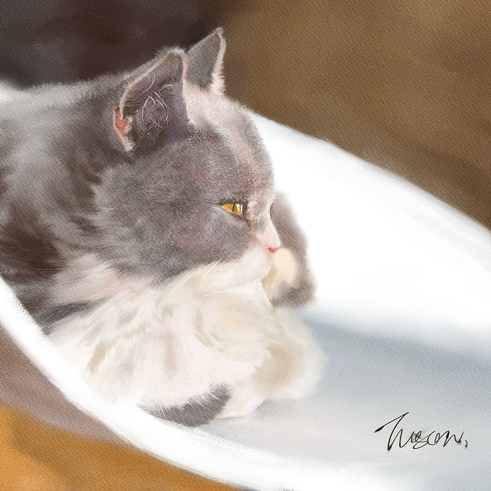 几幅写实风尝试|肝脑涂喵……还有狗叽（图ZMjAyNDYyMjY4） - 艺术插画 - 站酷设计师Tusan了了原创素材 - 站酷ZCOOL