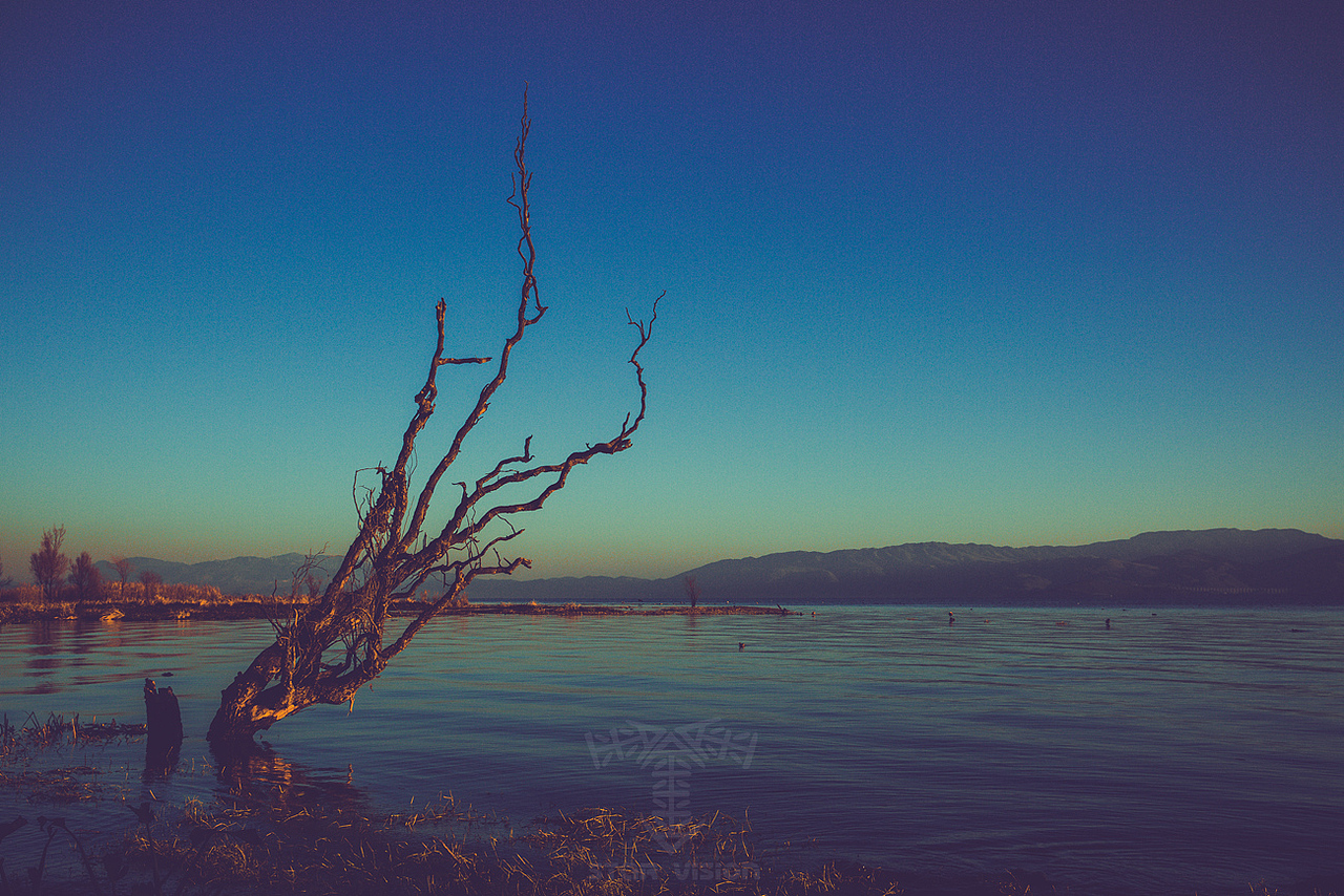 南国 有水也有光