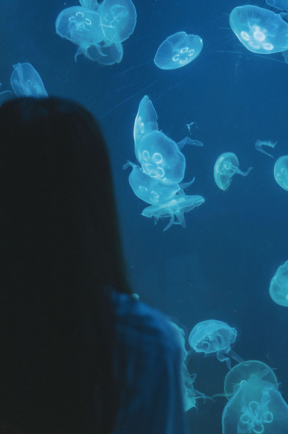 蓝色大海的传说