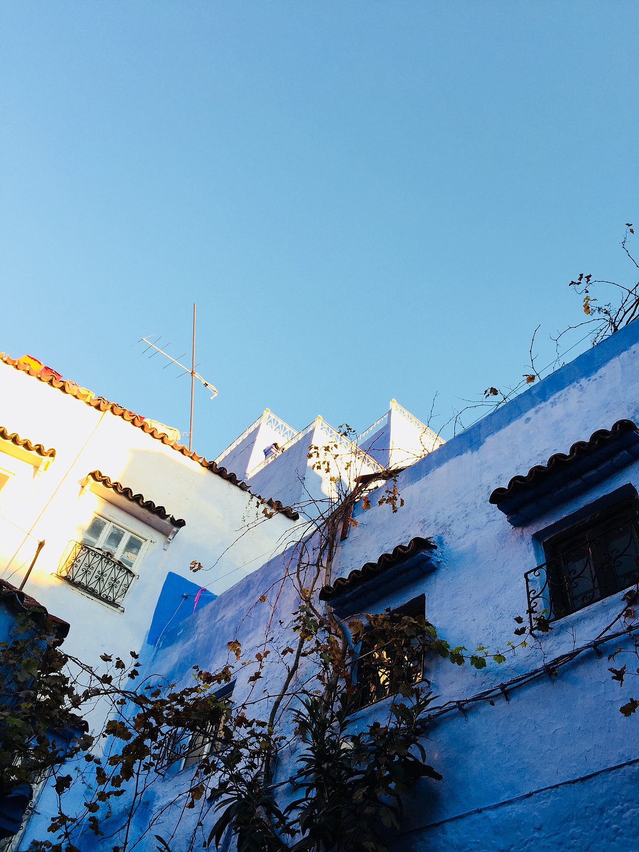 梦回摩洛哥🇲🇦