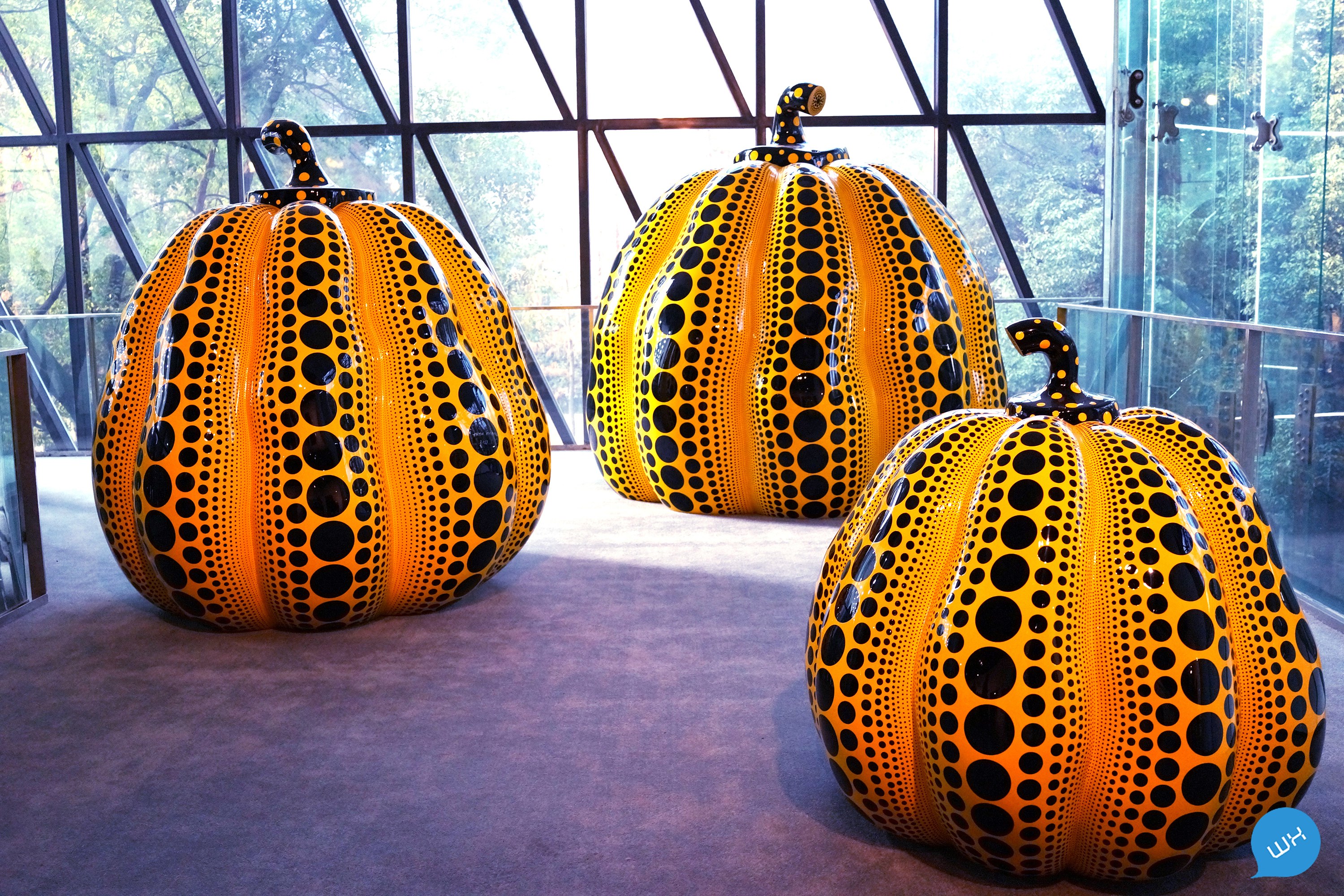 草间弥生——我的一个梦