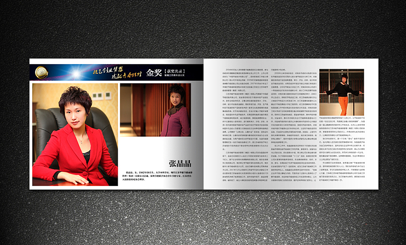 团省委 江苏青年创业奖 金银铜奖获奖名录 画册 灰机稿（图ZMjk3MjE5Ng==） - 其他平面 - 站酷设计师icanfay原创素材 - 站酷ZCOOL