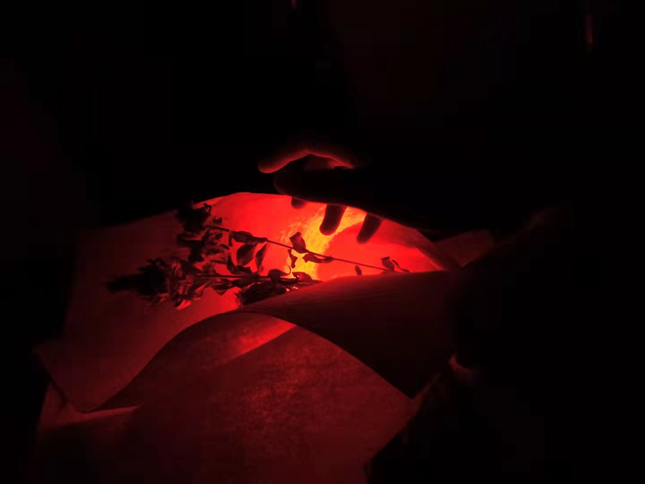 グッ!(๑•̀ㅂ•́)و✧