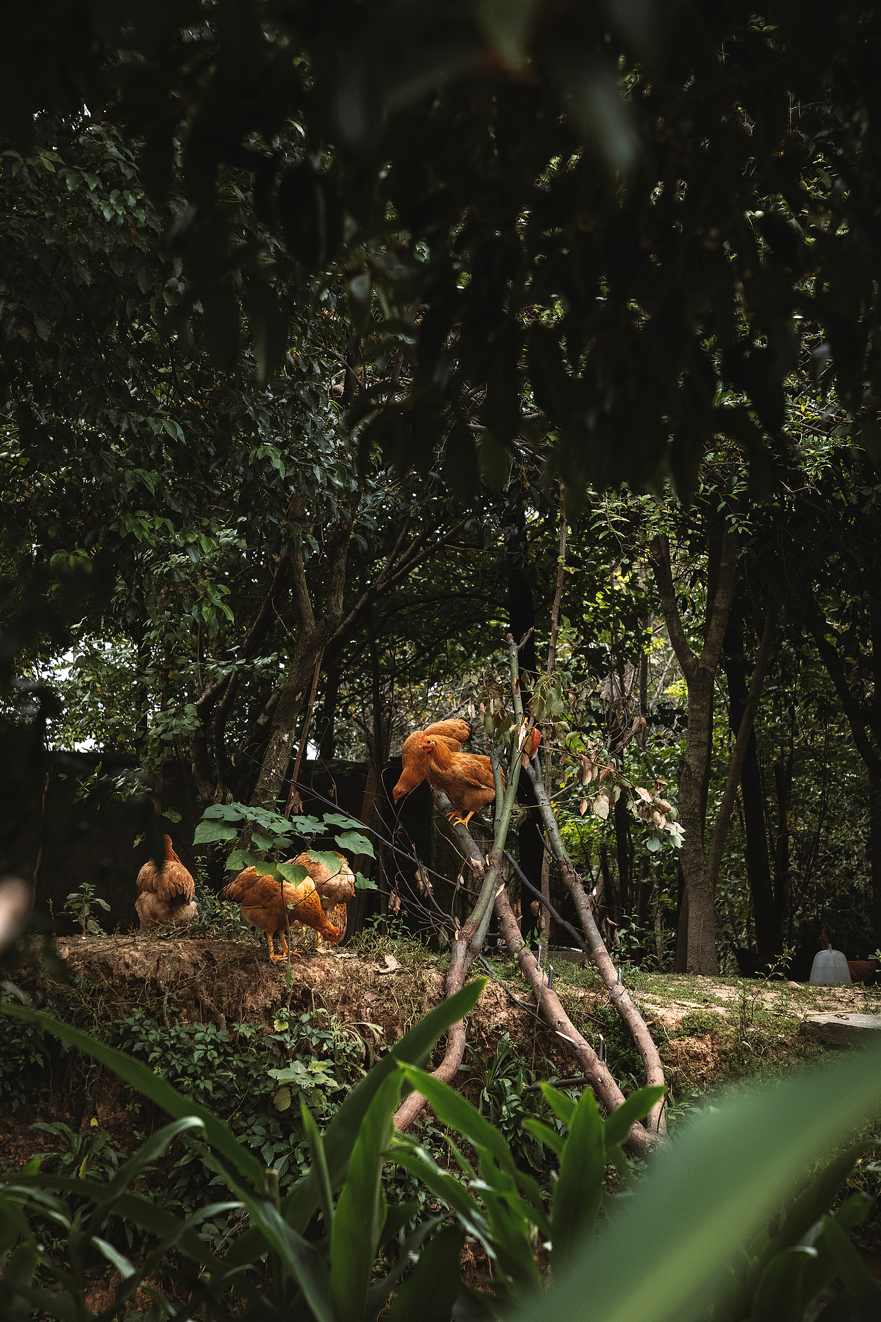 随处可见的农村场景（图ZMjI3MTIyNjQ4） - 人文/纪实摄影 - 站酷设计师我有条狗叫汤圆原创素材 - 站酷ZCOOL