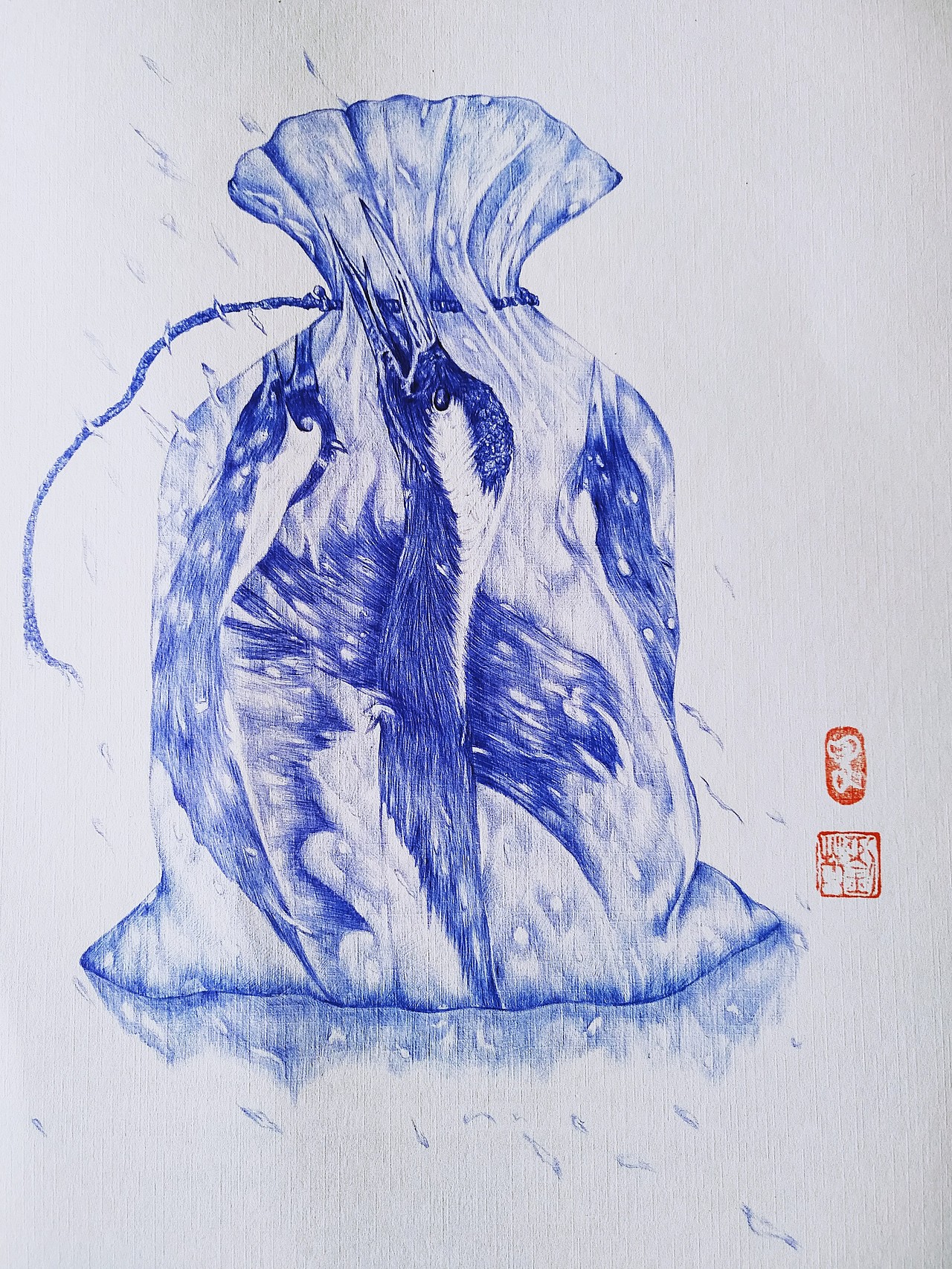 濒危鸟类圆珠笔插画