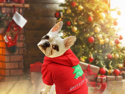 亚马逊-宠物猫狗衣服圣诞系列