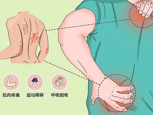 360病典项目（个人主页-ZNTY0OTc2MjQ=） - 图案 - 站酷设计师平平无奇的番茄a原创素材 - 站酷ZCOOL