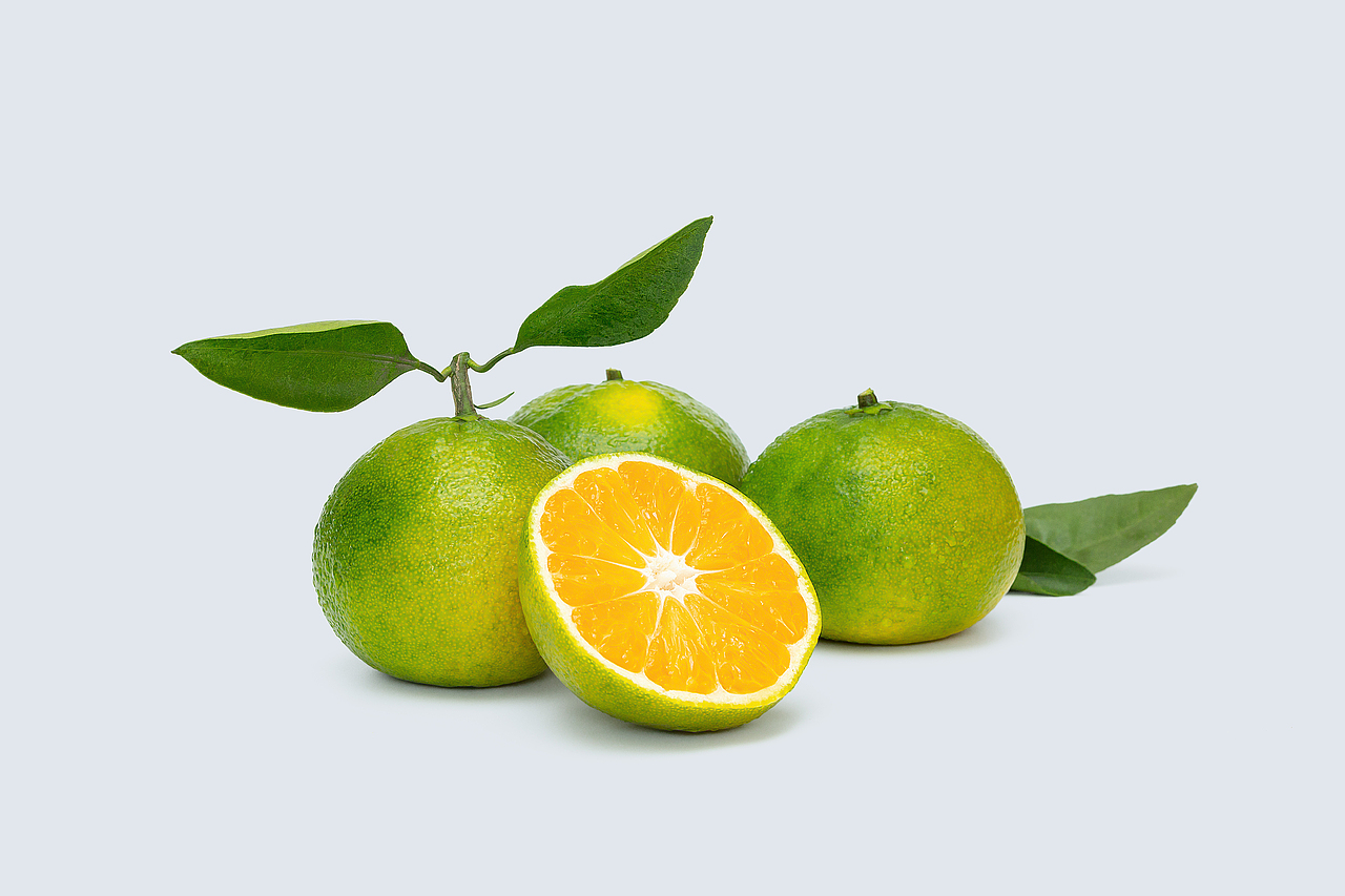 一组简单的柑橘照片