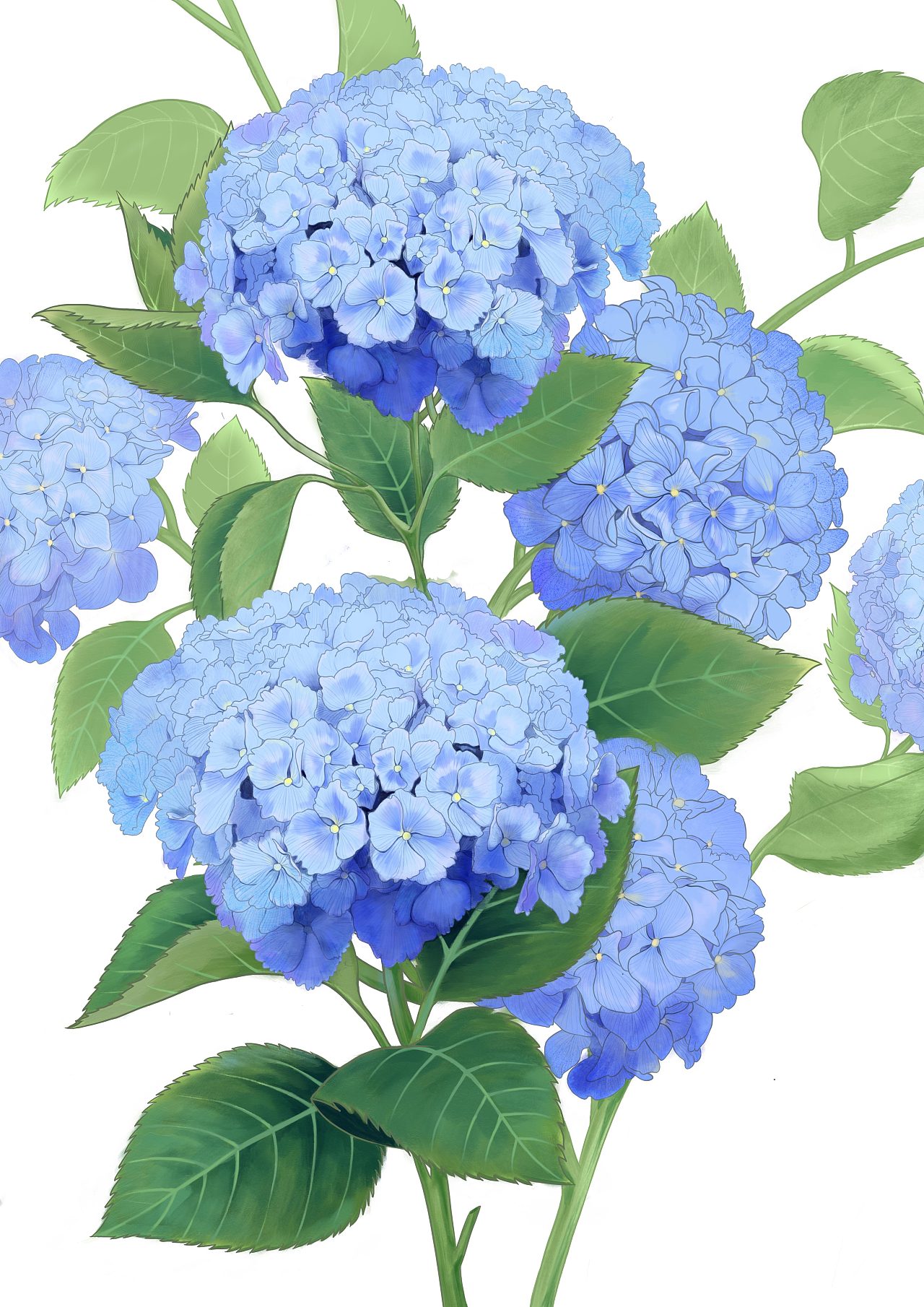 蓝色花卉合集|插画|商业插画|勇敢的猪猪 - 原创作品 - 站酷 (zcool)