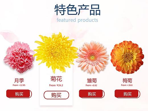 鲜花类网站