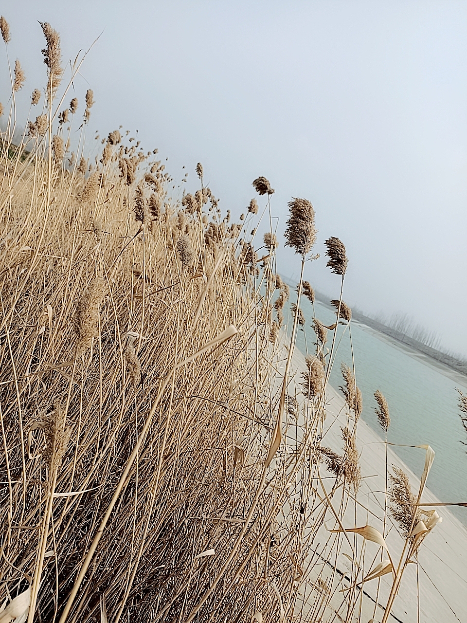 濟(jì)生攝影（圖ZMTk2NDI0MzY4） - 產(chǎn)品攝影 - 站酷設(shè)計(jì)師言吾齋原創(chuàng)素材 - 站酷ZCOOL