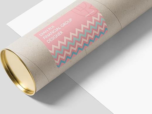 DIANRUI企业品牌系列延展