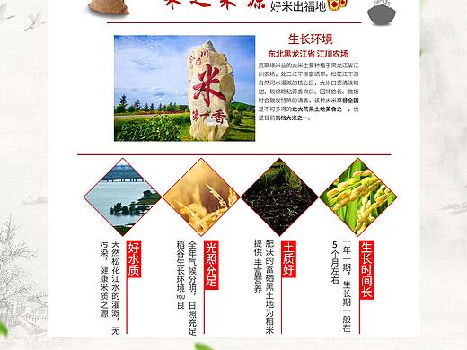 東北大米首頁（個(gè)人主頁-ZNDI4MjE4MjQ=） - 電商 - 站酷設(shè)計(jì)師Aaron的ppt原創(chuàng)素材 - 站酷ZCOOL