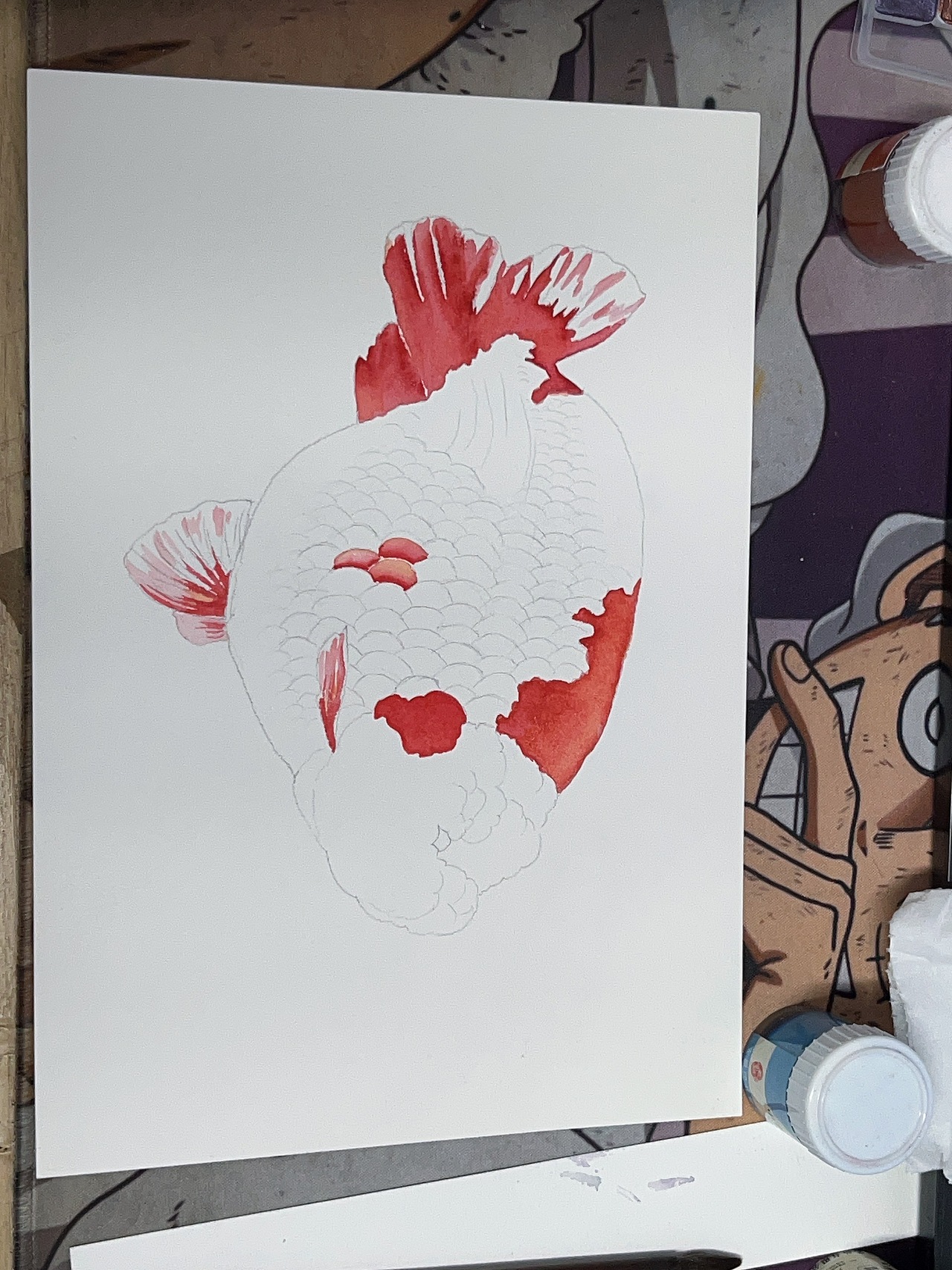 紅白蘭壽（魚友定義畫附過程）（圖ZMzgwNTMyMjUy） - 繪畫 - 站酷設(shè)計師風(fēng)蓮原創(chuàng)素材 - 站酷ZCOOL