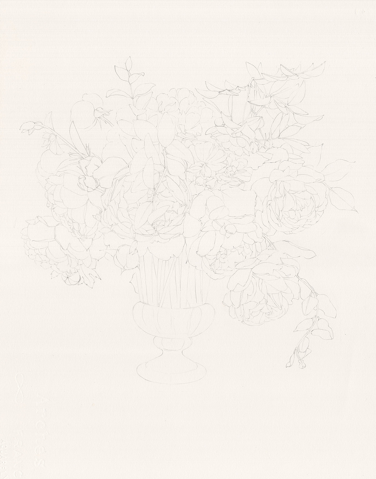 水彩花卉《达西先生》步骤图（图ZMTIzOTI2NDgw） - 绘画 - 站酷设计师苏木_Summer原创素材 - 站酷ZCOOL