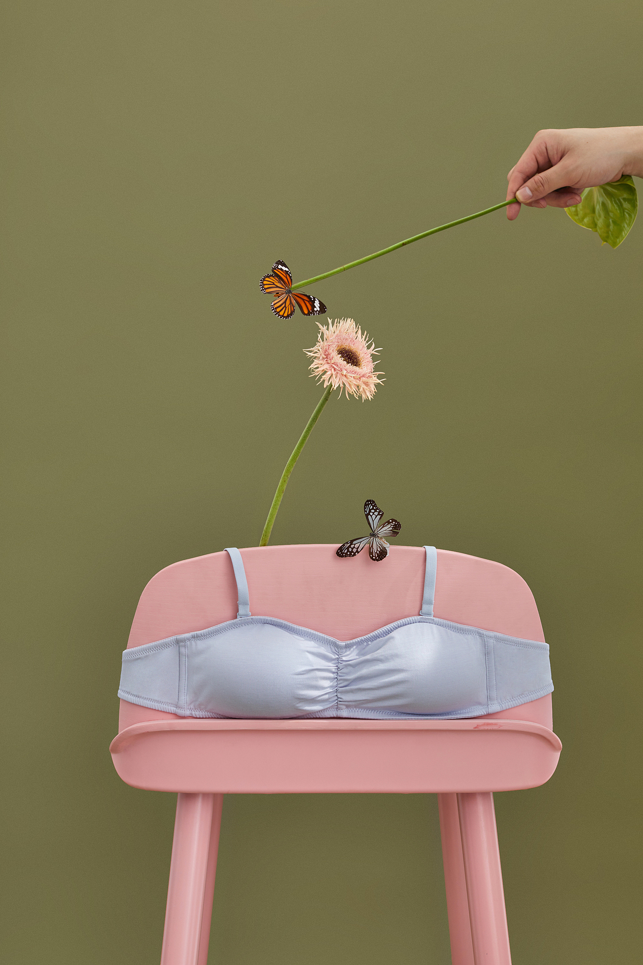 乙木心 内衣 2019 电商修图