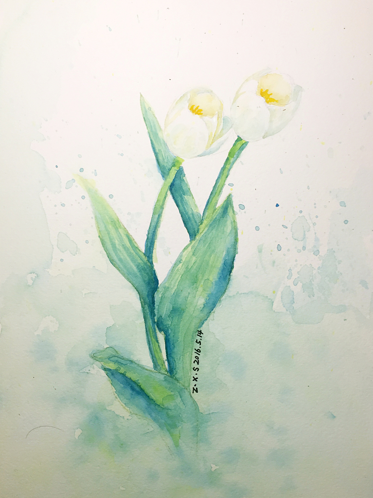 白色郁金香|纯艺术|水彩|yescabbage - 原创作品 - 站酷 (zcool)