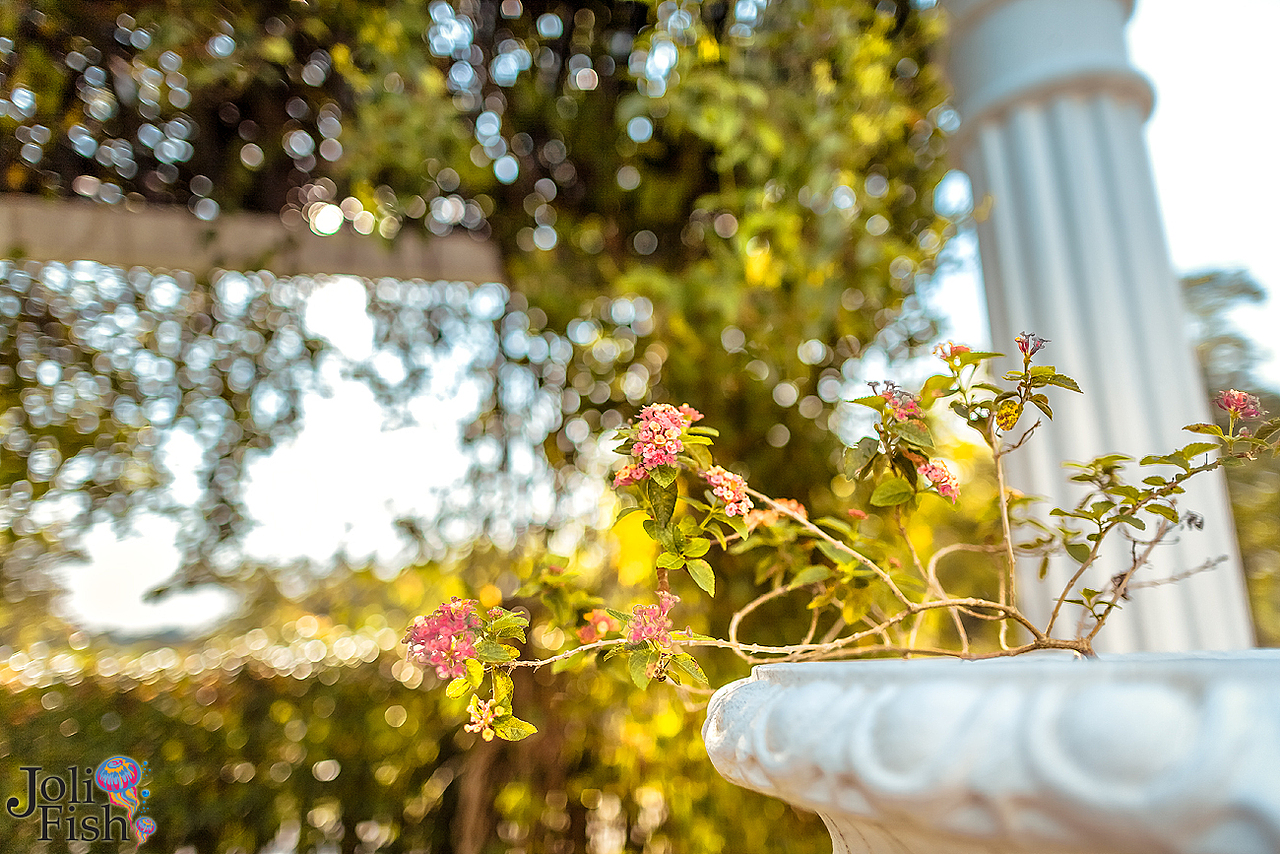 KarHoe&Miyuki Pre Wedding 