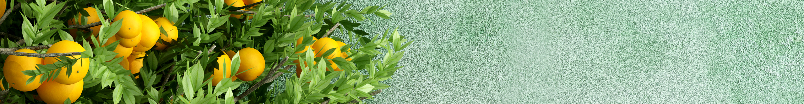 李大大a的个人主页（封面预览） - 主页封面设置 - 站酷设计师李大大a原创素材 - 站酷ZCOOL