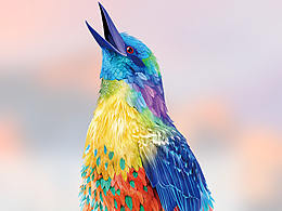 金嗓子包装设计