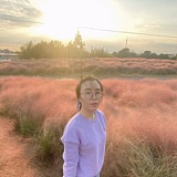 M阿噜的头像
