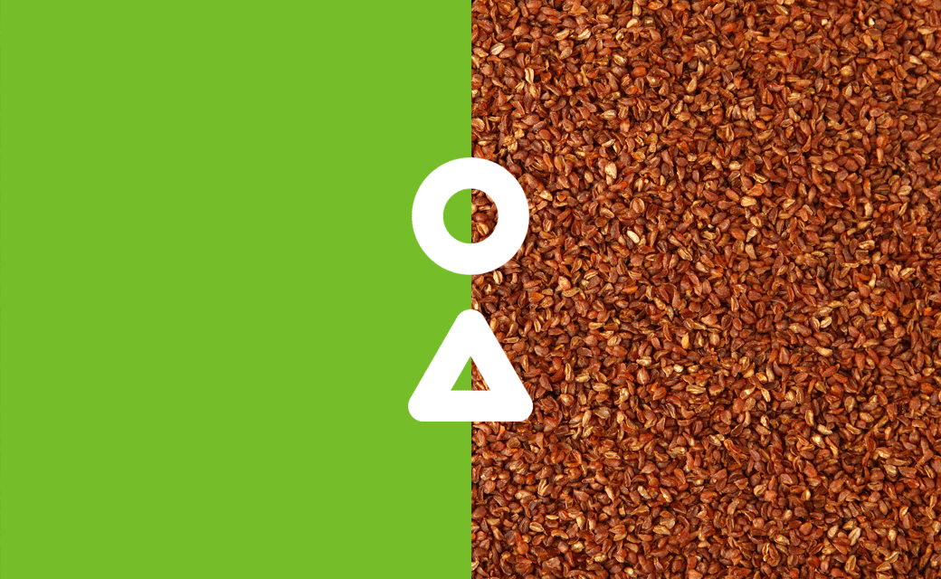 陕药集团莲花黑荞 汉水莲花品牌标志VI设计