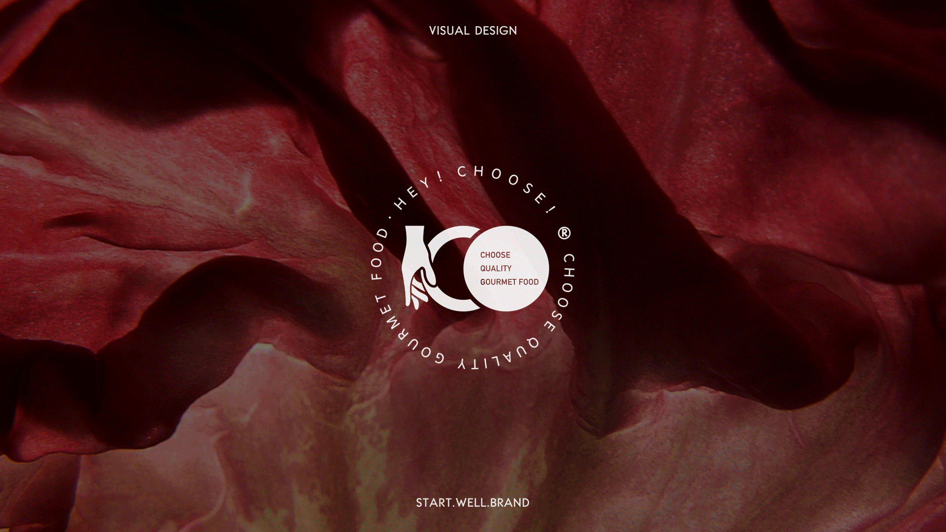 HEY！CHOOSE食材/农产品零食品牌策划-VI设计（图ZMjA5ODUwOTA0） - 品牌 - 站酷设计师思悟品牌设计原创素材 - 站酷ZCOOL